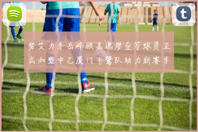 努艾力李岳峰顾嘉逸廖垒等球员正式加盟中乙厦门飞鹭队助力新赛季